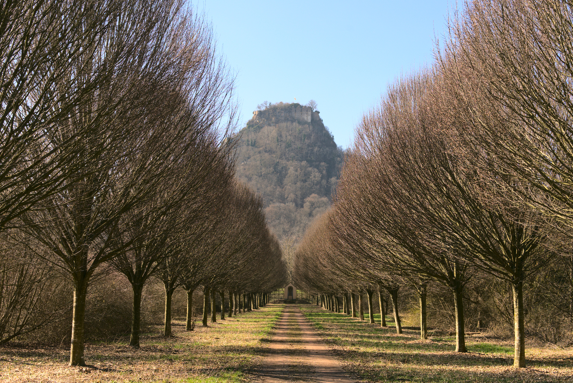 Schlatt unter Krähen